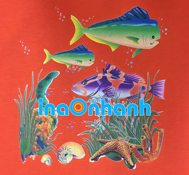in áo thun trực tiếp