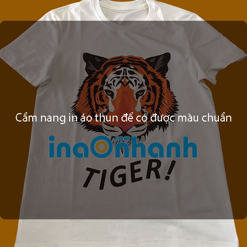 Cẩm nang in áo thun để có được màu chuẩn trong in áo Cẩm nang in áo thun để có được màu chuẩn trong in áo